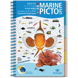 Pictolife Western Tropical Pacific Asian Languages